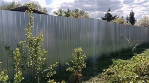 Наш дом в древне. Как расчищали участок, борьба с кленом.