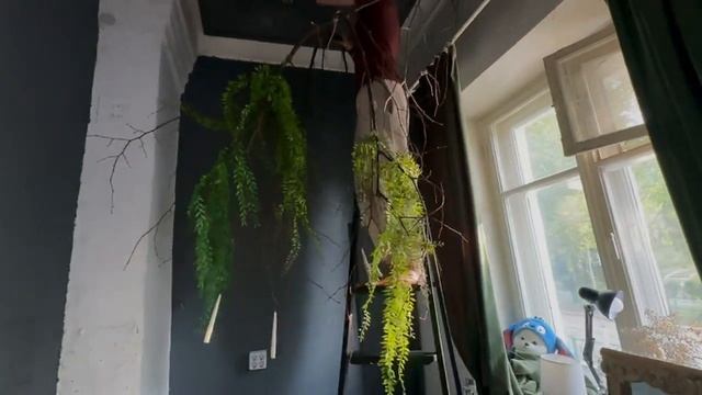Аня попала к хирургу!!!!! смотреть онлайн