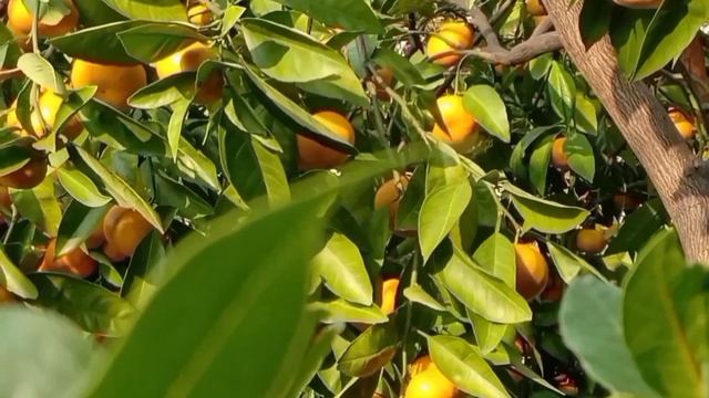 МНЕ НРАВЯТСЯ ЛЮДИ смотреть онлайн