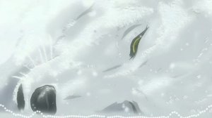 Волчий дождь