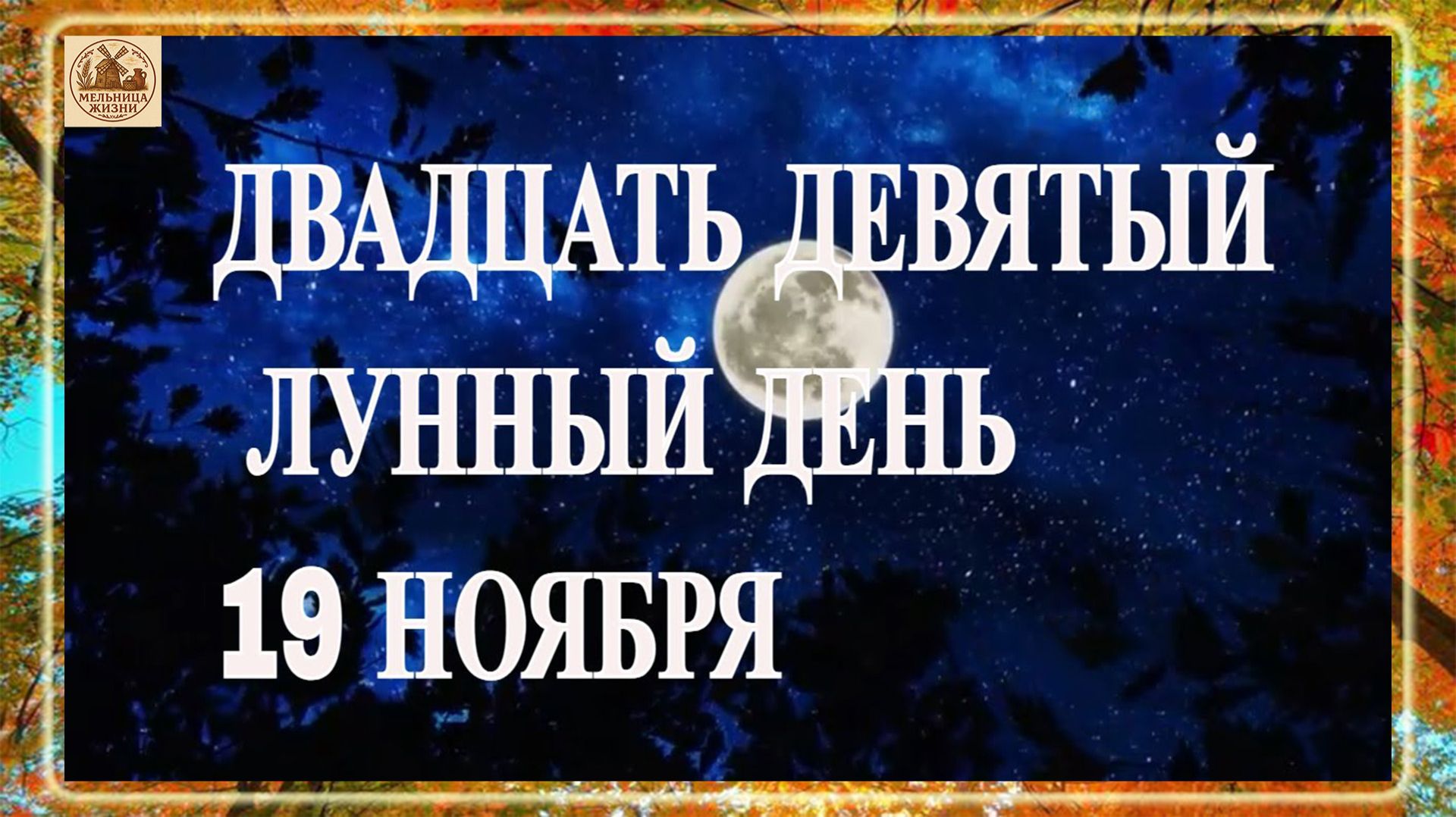 ДВАДЦАТЬ ДЕВЯТЫЙ ЛУННЫЙ ДЕНЬ 19 НОЯБРЯ 2025 ГОДА!!! смотреть онлайн