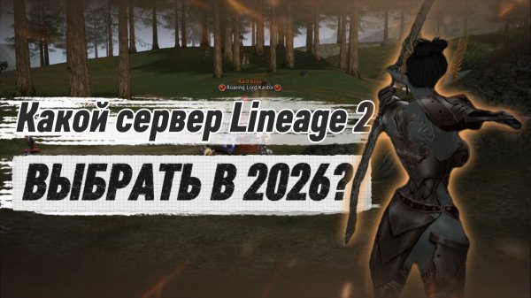 Какой сервер L2 выбрать в 2026 году?