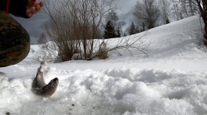 Ловля хариуса в последний день марта.Весной даже не пахнет.