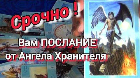 Твой👼🙏 ангел-хранитель предупреждает... это должен увидеть каждый❗🍀🍁 смотреть онлайн