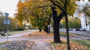 ОДЕССА 18 НОЯБРЯ 2025. 1 МЛРД НА БОЛЬНИЦУ ВОЗЛЕ ФРОНТА. ТЕСЛА ЗА 2 000 ЕВРО. ПОМАЗАНИЕ ЗЕЛЕНСКОГО