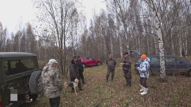 РГ Побудка (Стрелка)(3,5года) ВПКОС 7132/24.14-е межрегиональные состязания Мемориал Р.И. Шияна 2025