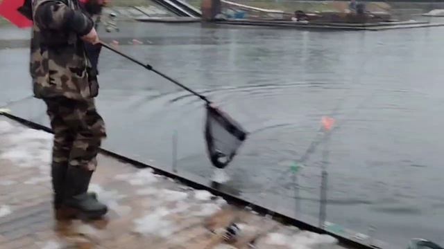 video_2025-11-18_09-27-57 смотреть онлайн