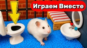 УМНЫЙ ХОМЯК ВЫБИРАЕТСЯ ИЗ СЕКРЕТНОЙ ТЮРЬМЫ С ЛОВУШКАМИ 🐹 ВИДЕО ПРО ХОМЯКА ДЛЯ ДЕТЕЙ 🐹
