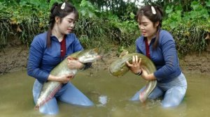 Девушка осушает пруд насосом и ловит рыбу. Жизнь во Вьетнаме