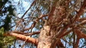 А МОЖНО МНЕ В ОДИН БОКАЛ...