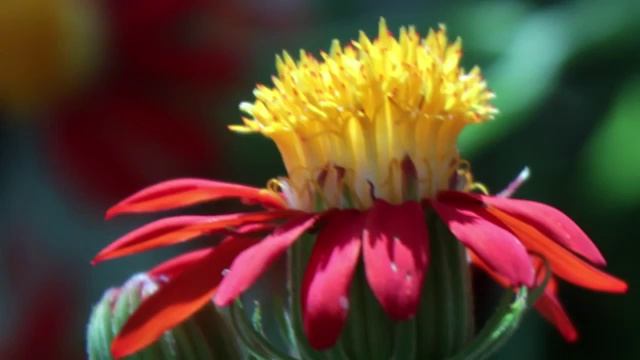 100% Привлечение Любви. Слушать каждый день смотреть онлайн