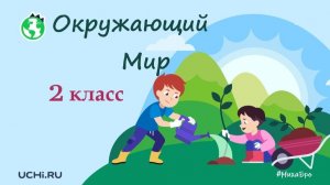 Культура и образование. Окружающий мир - 2 класс / Учи.ру. Учимся играя