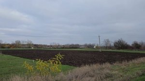 Большой бейсуг.mp4