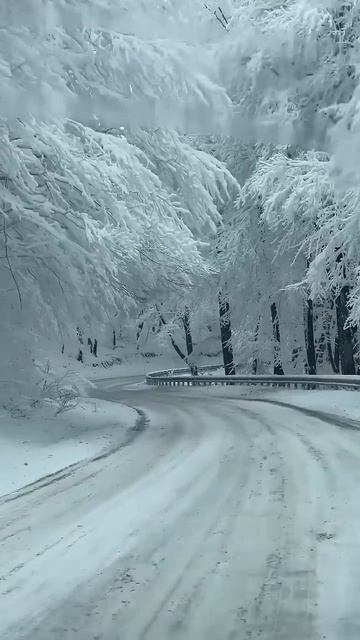 Fredo de Gaultier - Passion and Pain, Pt.4 #Finland #road #snow #forest #snowforest #yoik смотреть онлайн