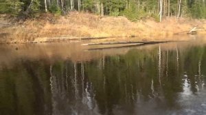 Поздний октябрь. #1