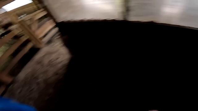 Кого родила овца ? Приручаю фазанов ! ХУТОР В ЛЕСУ №880