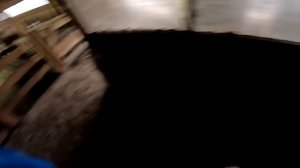 Кого родила овца ? Приручаю фазанов ! ХУТОР В ЛЕСУ №880