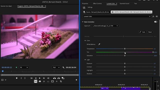 56 Adjusting Color with the Lumetri Color Panel смотреть онлайн