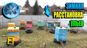 ВРЕМЯ РАССТАНОВКИ УЛЬЕВ НА ПАСЕКЕ ДЛЯ ЗИМОВКИ НА УЛИЦЕ. ПЧЕЛОВОДСТВО 25-39