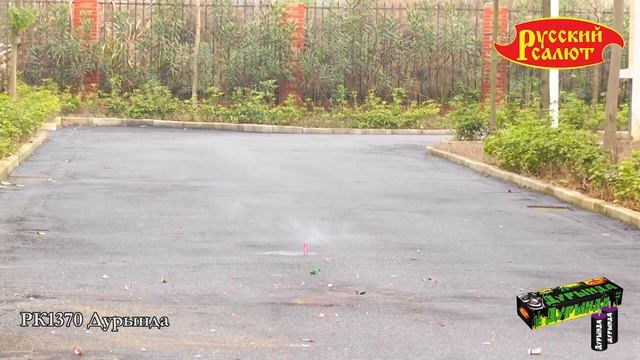 РК1370 Петарда "Дурында " 1шт. смотреть онлайн
