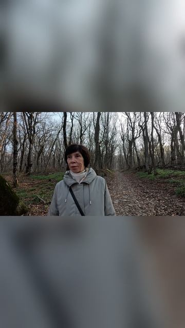 Жанна и Алла отзыв о походе вокруг горы Бештау. Железноводск смотреть онлайн
