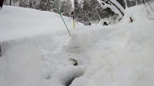 Ищем хариуса на новой речке.Продолжение.