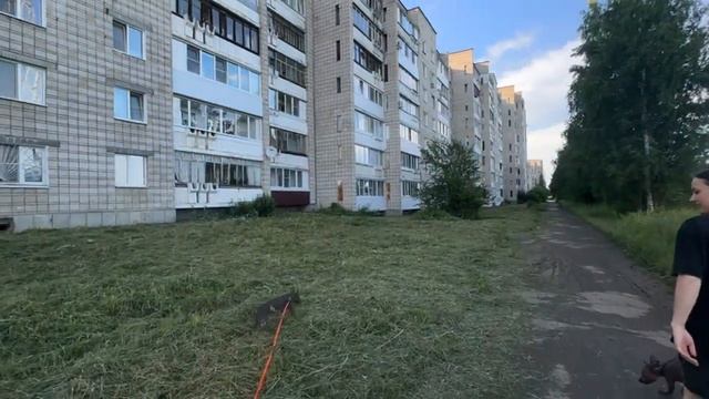 Нижний Тагил | Лисья гора смотреть онлайн