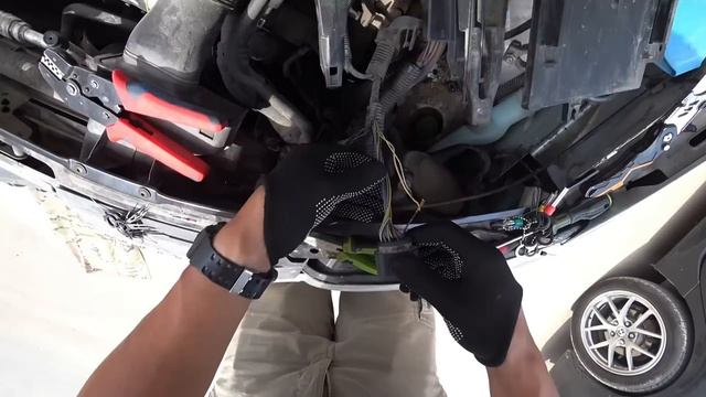 Год без движения и кореец умер смотреть онлайн