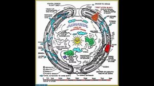 В АНТАРКТИДЕ ЖИВУТ ХРАНИТЕЛИ .