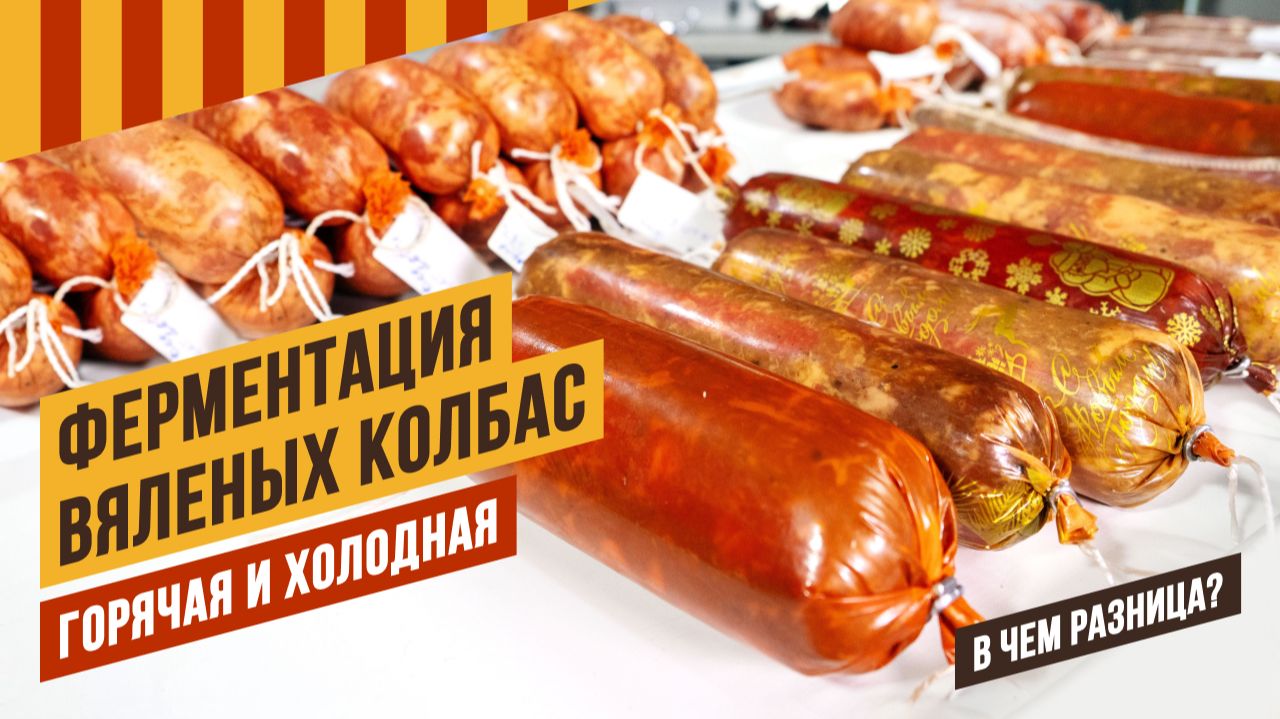 Делая сыровяленую колбасу важно понимать горячая или холодная ферментация у вас будет смотреть онлайн