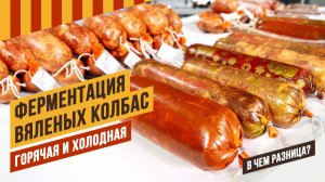 Делая сыровяленую колбасу важно понимать горячая или холодная ферментация у вас будет