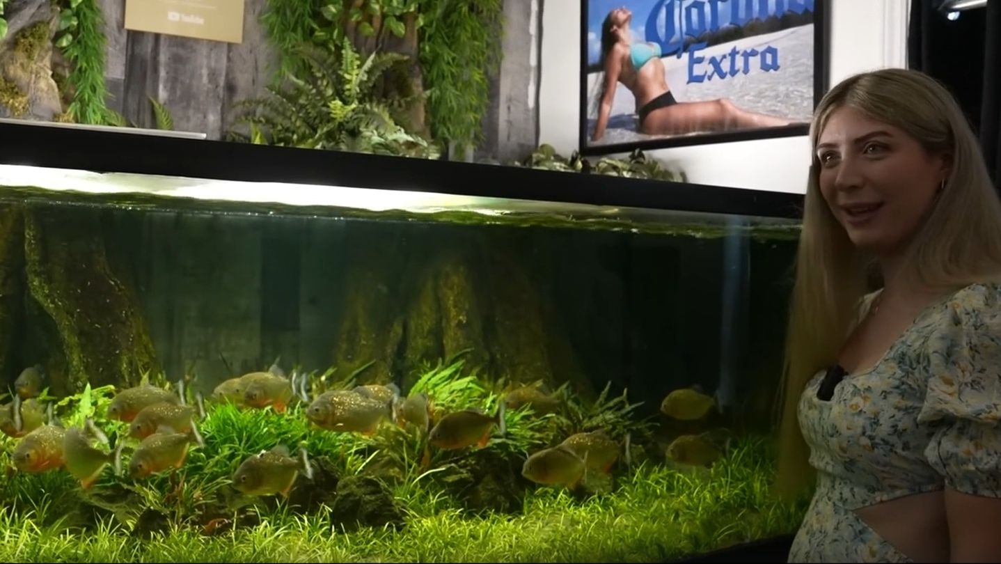 Канада: галерея короля аквариумов Джои Маллина - 3500 л. аквариум