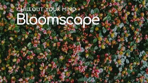 VA - Bloomscape Chillout Your Mind (2025) смотреть онлайн