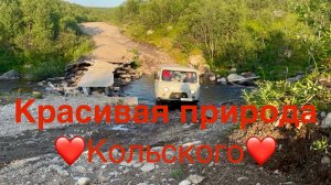 Дальние Зеленцы-Туманный. Красивая дорога❤️