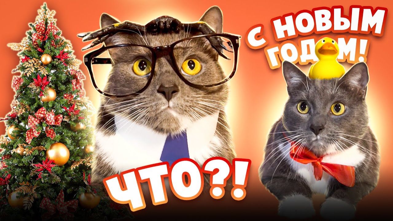 ВСЕ НОВОГОДНИЕ СЕРИИ - ЕСЛИ БЫ КОТИКИ ХОДИЛИ В ШКОЛУ смотреть онлайн