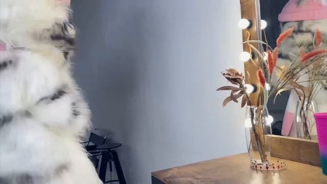 Чиловый котик. Марьяна Локель/Вау Вероника.