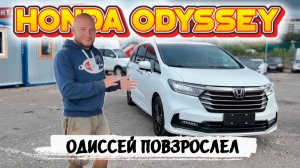 Honda Odyssey: почему этот минивэн стоит своих денег!