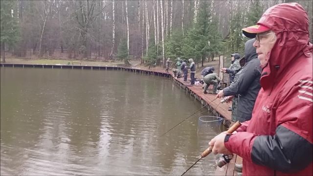 Дождь под утих, а клёв форели продолжал нарастать. Рыбалка на спорт зоне в Клёвом месте лосиный ост смотреть онлайн