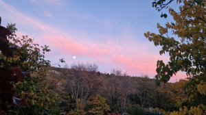 Песенная Медитация 18.11.2025