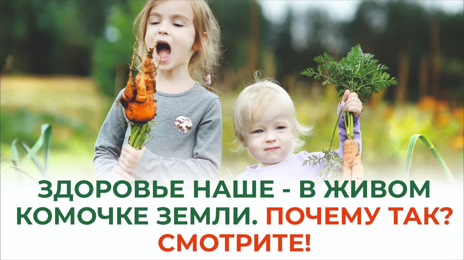 Новый проект Башинкома "Здоровье 800" стало еще ближе и доступнее смотреть онлайн