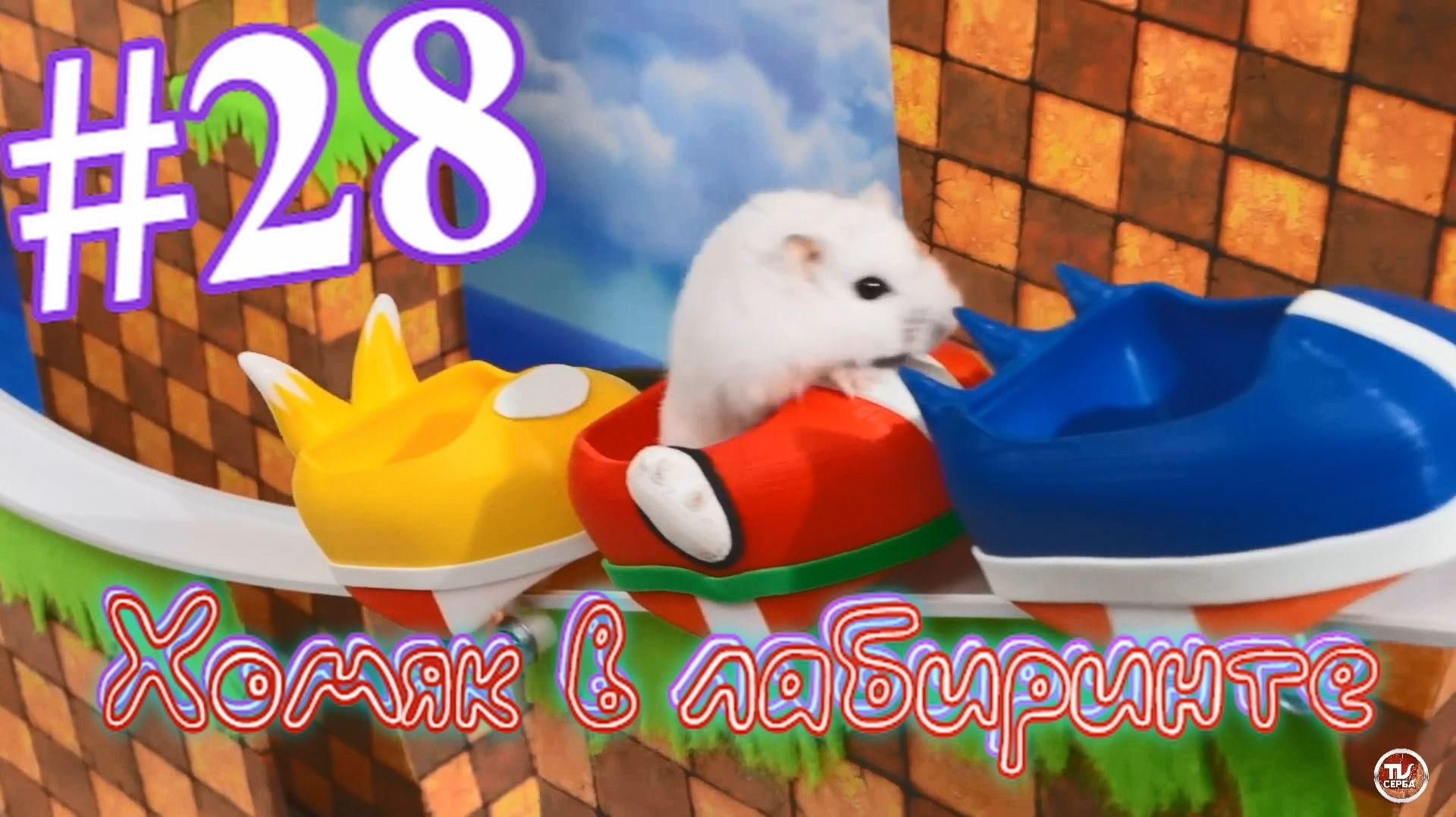 Хомяк в лабиринте (28 серия) смотреть онлайн
