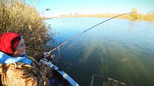 НА РЫБАЛКУ С ЖЕНОЙ БОЛЬШЕ НЕ ЕДУ! ВСЮ РЫБУ ВЫЛОВИЛА, А Я НЕ ОДНОЙ! Рыбалка на сазана поздней осенью.