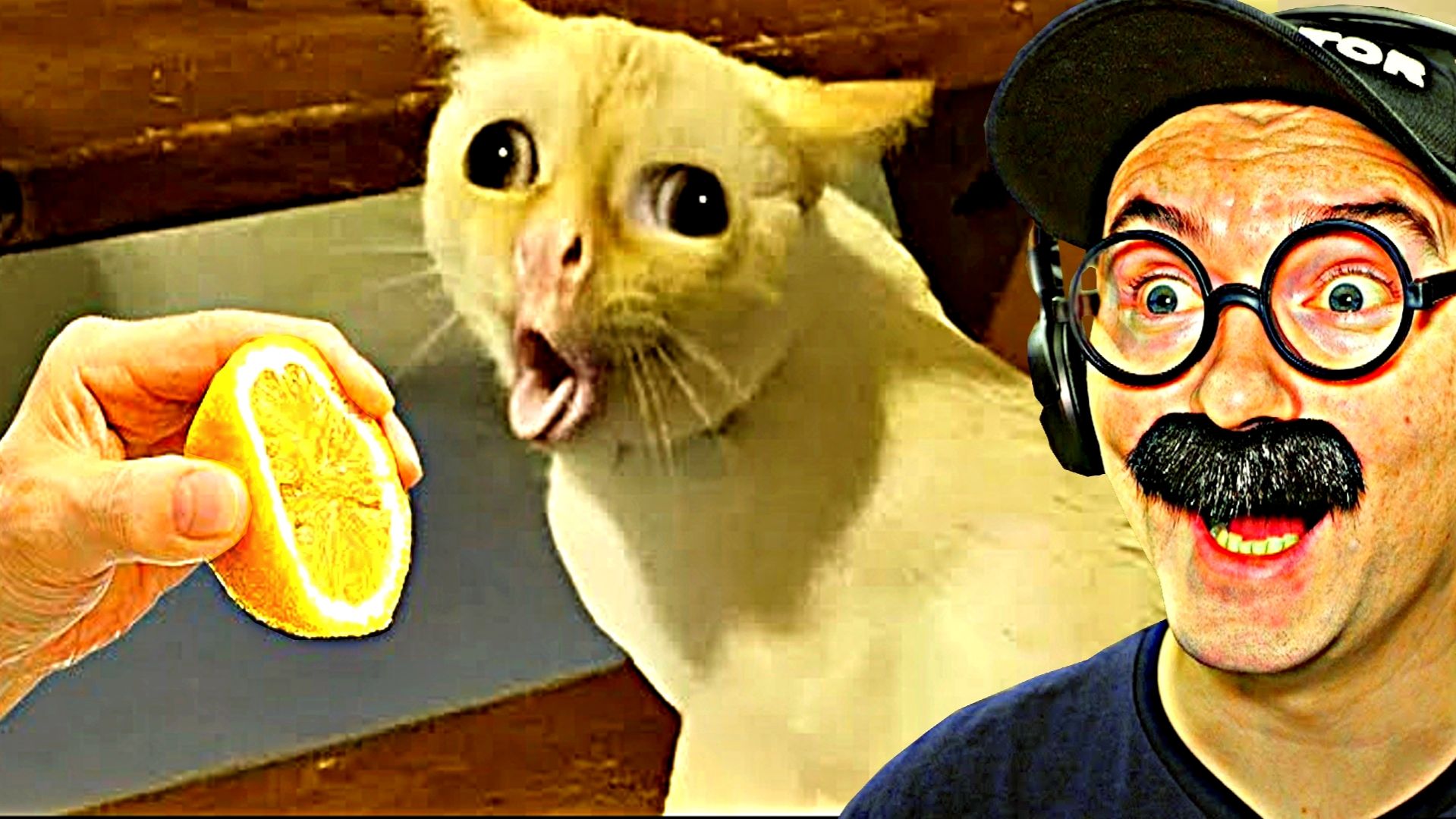 100 САМЫХ СМЕШНЫХ ВИДЕО (7 Выпуск) смотреть онлайн