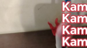 Ночь 666 с Анжелой