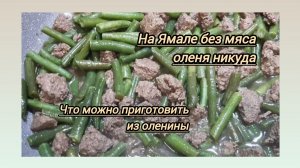 ОЛЕНИНУ на Ямале едят не только тундровики.Что я готовлю из мяса северного оленя и какое оно на ВКУС
