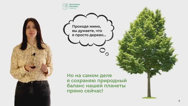 Трудно ли быть деревом в лесу? смотреть онлайн