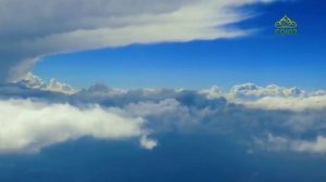 Стихи над миром. Стихотворения Зинаиды Миркиной