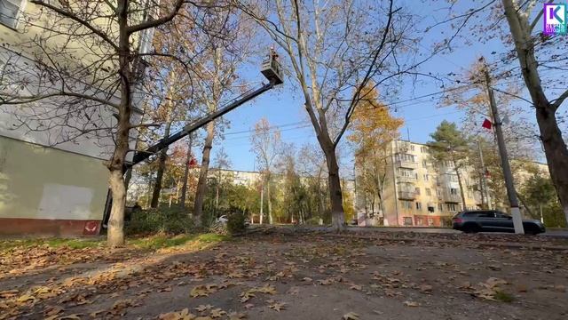 Комплексные работы по уходу за зелёными насаждениями регулярно проводят в Керчи смотреть онлайн