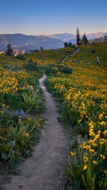 Fredo de Gaultier - Microworld #usa #flowers #mountains #travel #nature #frdg смотреть онлайн