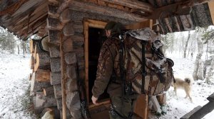 ЖИВУ В ИЗБЕ, НОЧЬЮ ВОКРУГ ХОДЯТ ВОЛКИ. НАЧАЛО СЕЗОНА ПУШНОГО ПРОМЫСЛА 2025-2026Г.